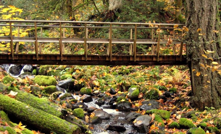 Wygant State Natural Area, Oregon, USA